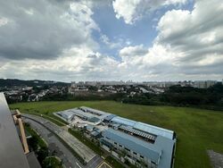 Dairy Farm Residences (D23), Apartment #530669991